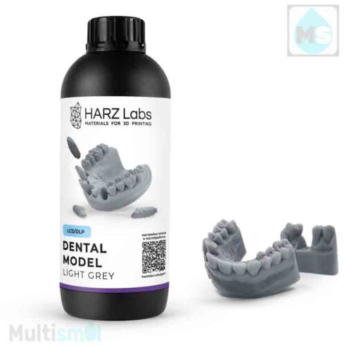 Dental Model Light Grey